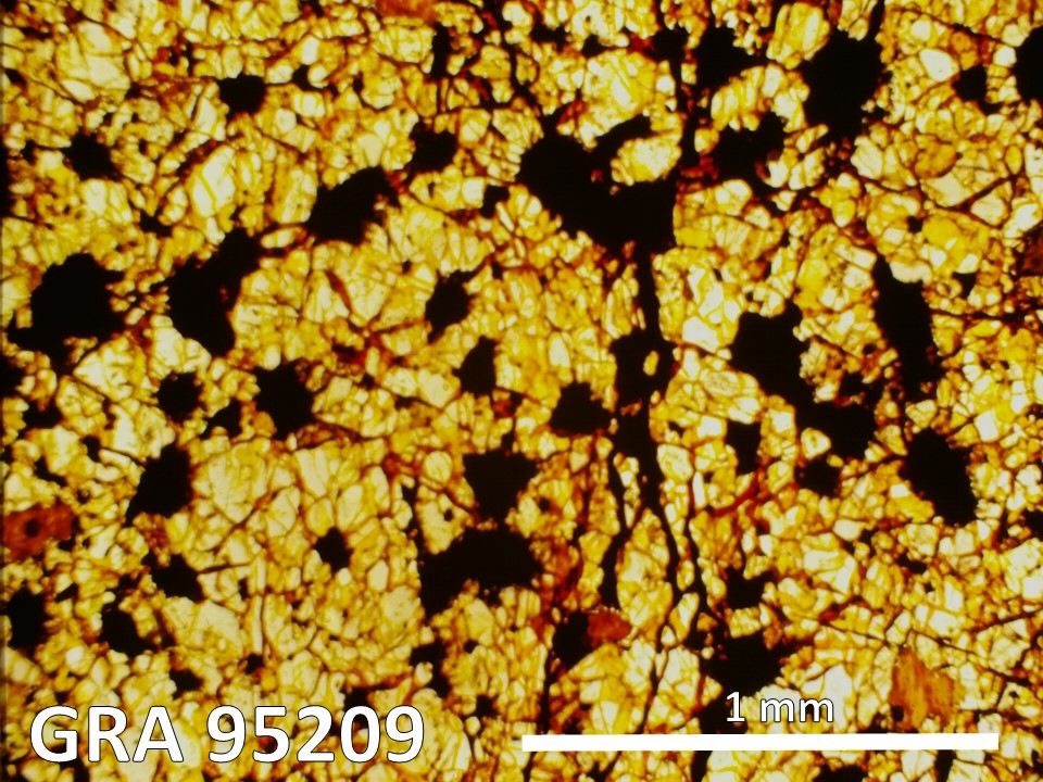 Thin Section Photograph of Sample GRA 95209 in Plane-Polarized Light