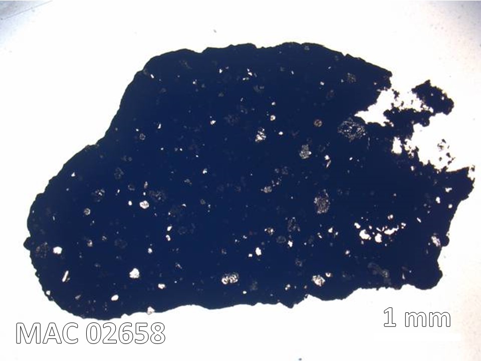 Thin Section Photo of Sample MAC 02658 in Plane-Polarized Light with 5X Magnification