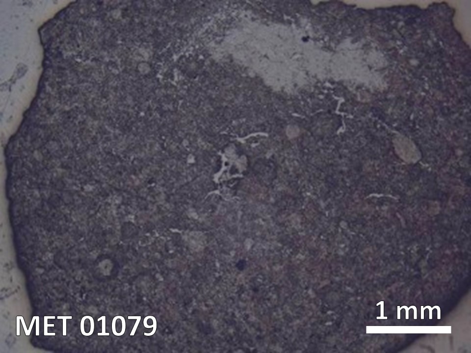 Thin Section Photo of Sample MET 01079 in Reflected Light with  Magnification