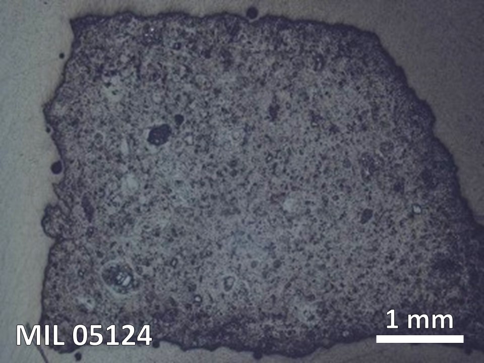 Thin Section Photo of Sample MIL 05124 in Reflected Light with 5X Magnification