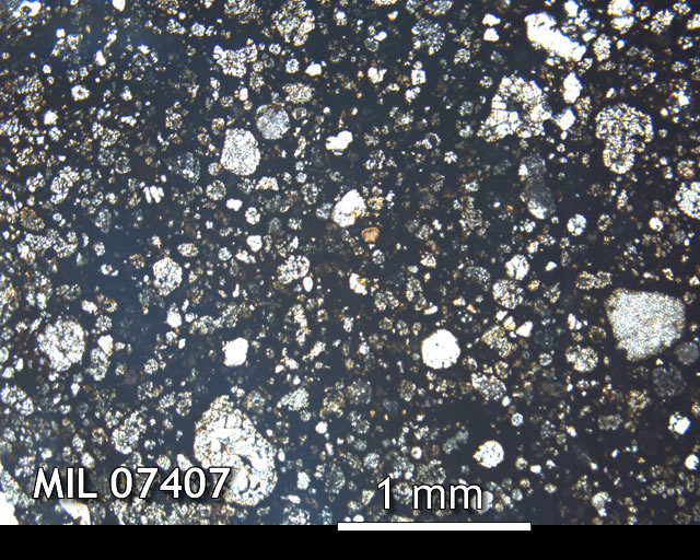 Thin Section Photo of Sample MIL 07407 in Plane-Polarized Light with 2.5x Magnification