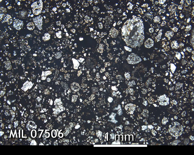 Thin Section Photo of Sample MIL 07506 in Plane-Polarized Light with 2.5x Magnification