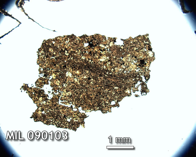 Thin Section Photo of Sample MIL 090103 in Plane-Polarized Light with 1.25x Magnification