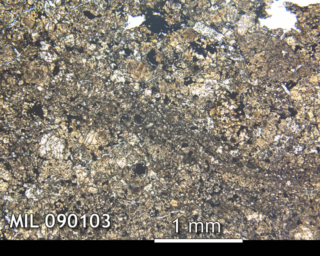 Thin Section Photo of Sample MIL 090103 in Plane-Polarized Light with 2.5x Magnification