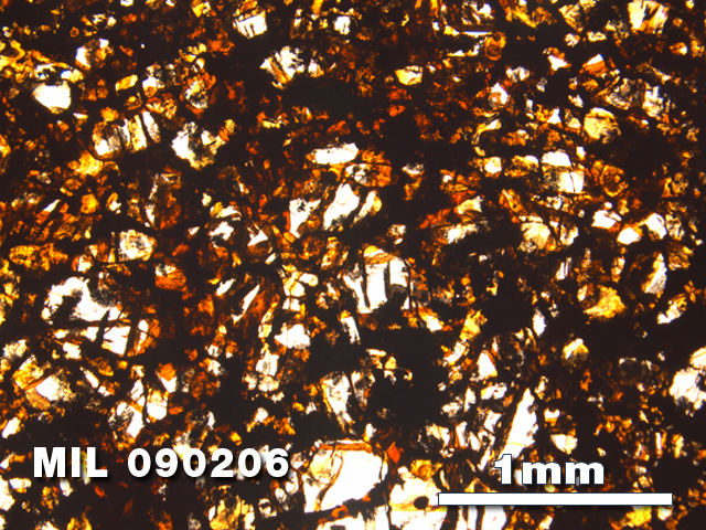 Thin Section Photo of Sample MIL 090206 at 2.5X Magnification in Plane-Polarized Light