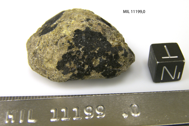 Lab Photo of Sample MIL 11199 Showing North View