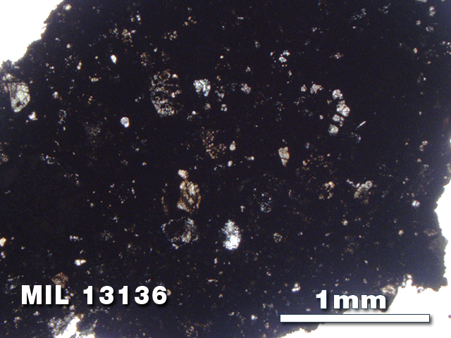 Thin Section Photo of Sample MIL 13136 in Plane-Polarized Light with 2.5X Magnification