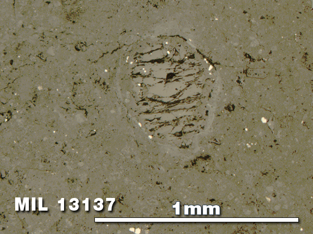 Thin Section Photo of Sample MIL 13137 in Reflected Light with 5X Magnification