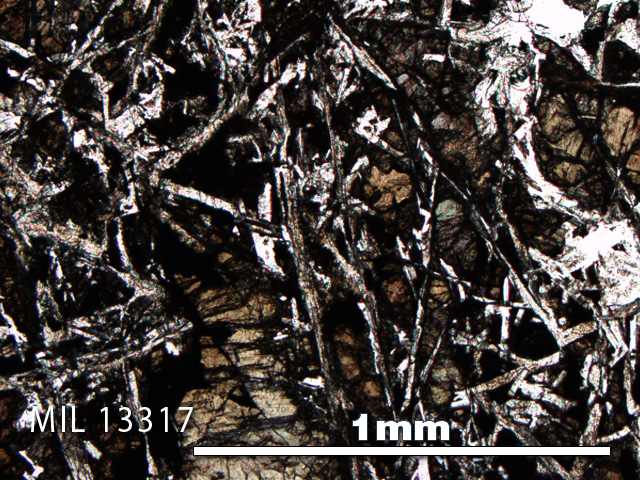 Thin Section Photo of Sample MIL 13317 in Plane-Polarized Light with 5X Magnification