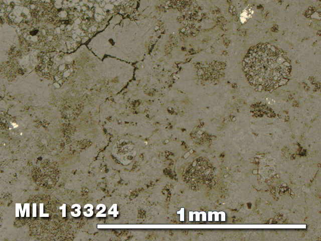 Thin Section Photo of Sample MIL 13324 in Reflected Light with 5X Magnification