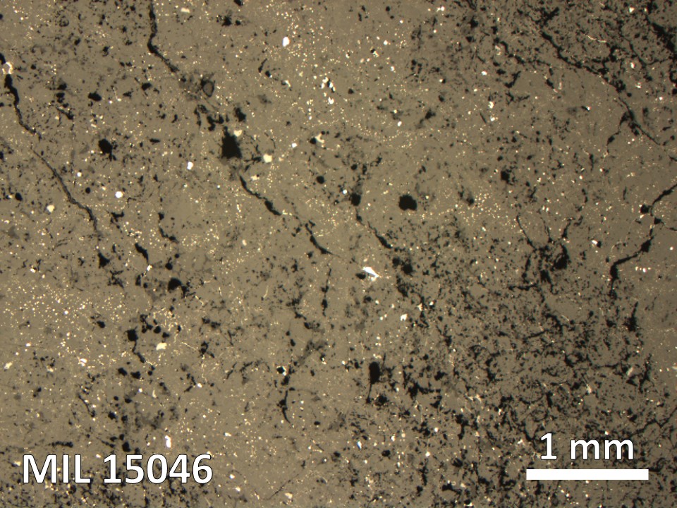 Thin Section Photo of Sample MIL 15046 in Reflected Light with 2.5X Magnification