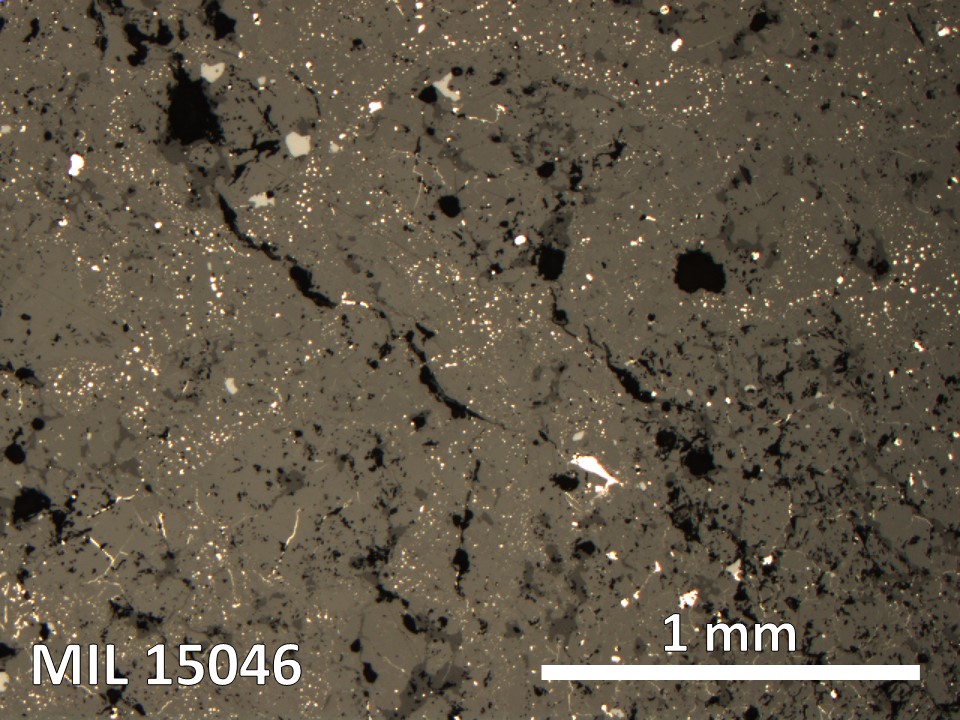 Thin Section Photo of Sample MIL 15046 in Reflected Light with 5X Magnification