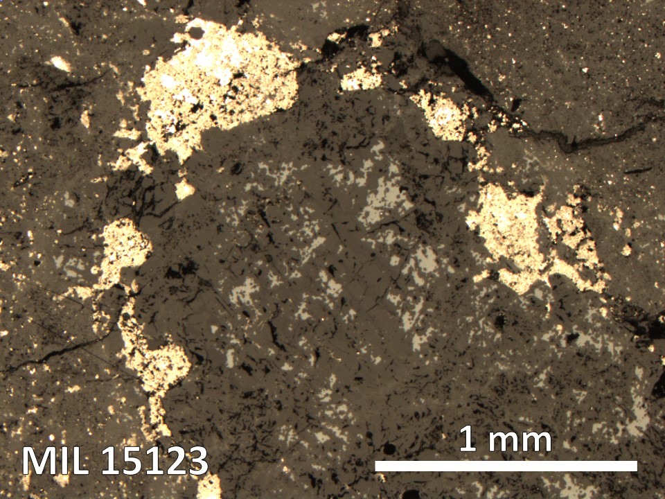 Thin Section Photo of Sample MIL 15123 in Reflected Light with 5X Magnification