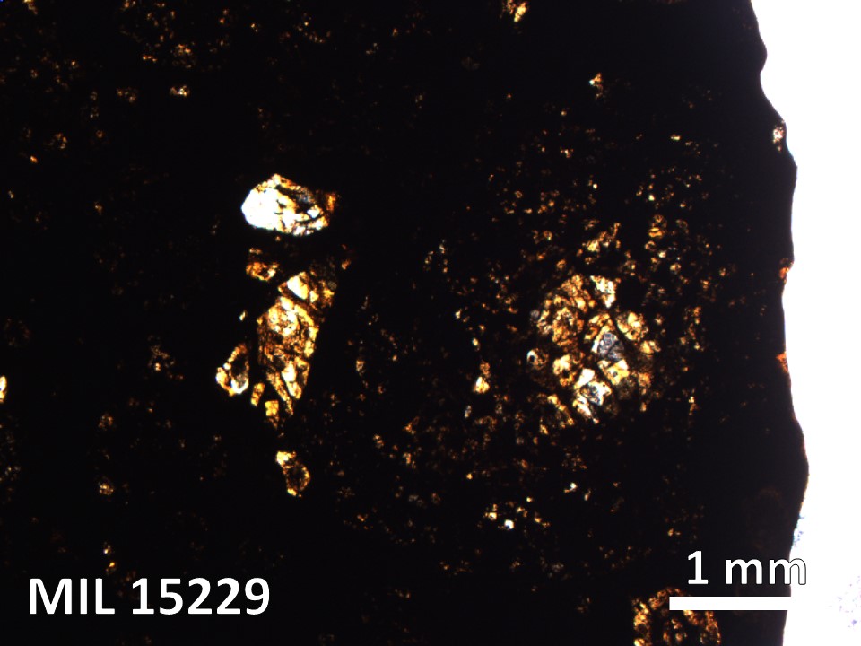 Thin Section Photo of Sample MIL 15229 in Plane-Polarized Light with 2.5X Magnification