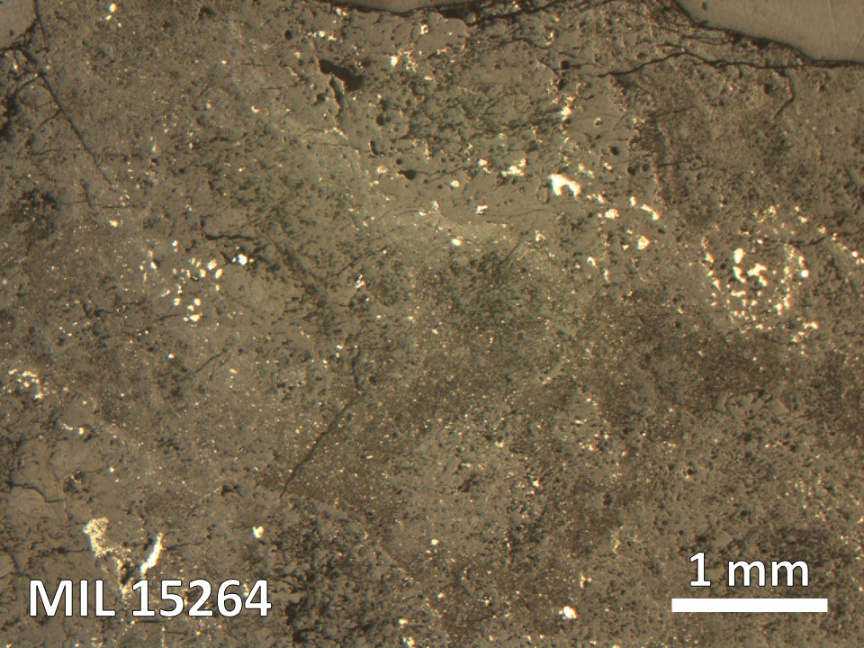 Thin Section Photo of Sample MIL 15264 in Reflected Light with 2.5X Magnification