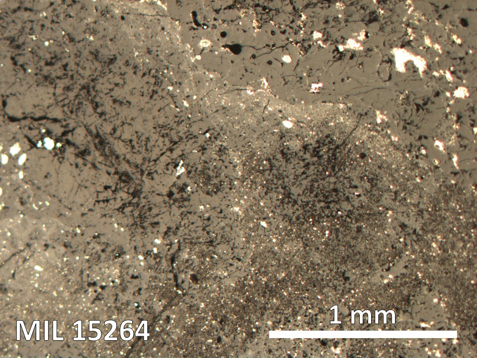 Thin Section Photo of Sample MIL 15264 in Reflected Light with 5X Magnification