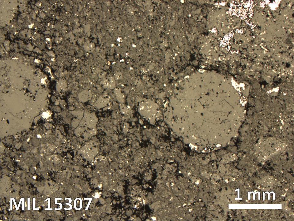 Thin Section Photo of Sample MIL 15307 in Reflected Light with 2.5X Magnification