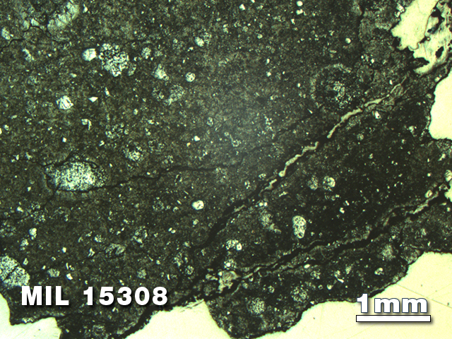 Thin Section Photo of Sample MIL 15308 in Reflected Light with 1.25X Magnification