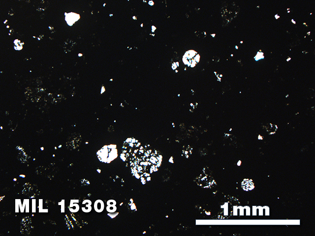 Thin Section Photo of Sample MIL 15308 in Plane-Polarized Light with 2.5X Magnification