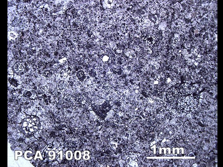 Thin Section Photograph of Sample PCA 91008 in Reflected Light
