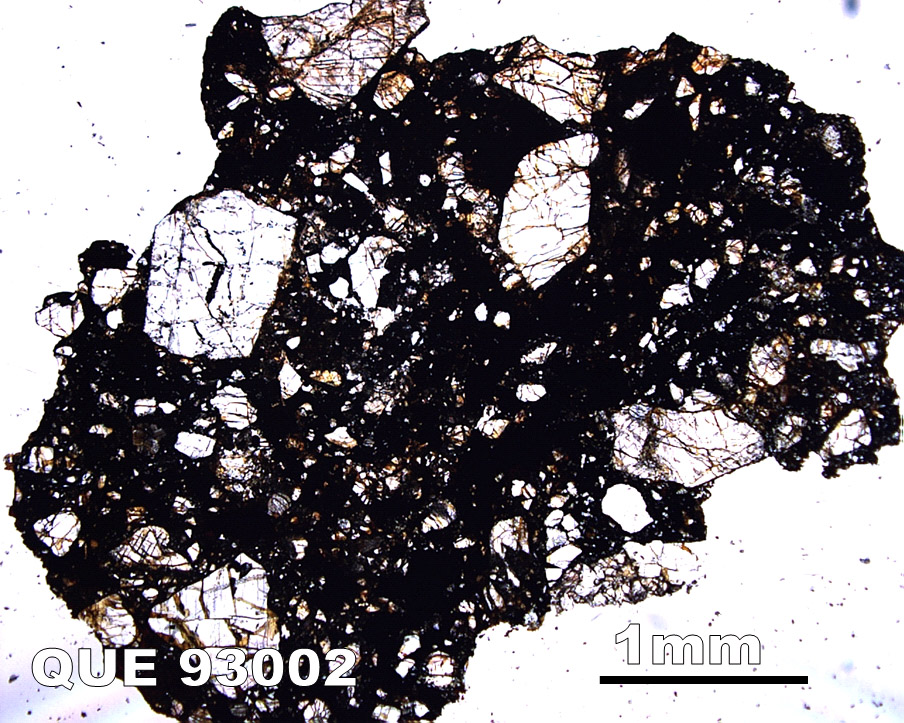 Thin Section Photograph of Sample QUE 93002 in Plane-Polarized Light