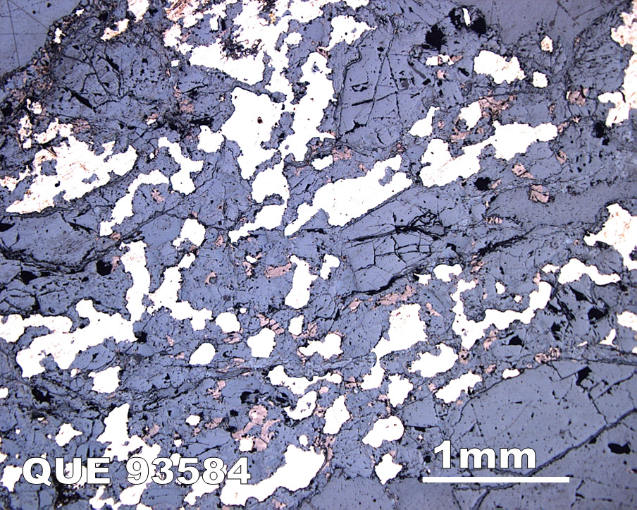 Thin Section Photograph of Sample QUE 93584 in Reflected Light