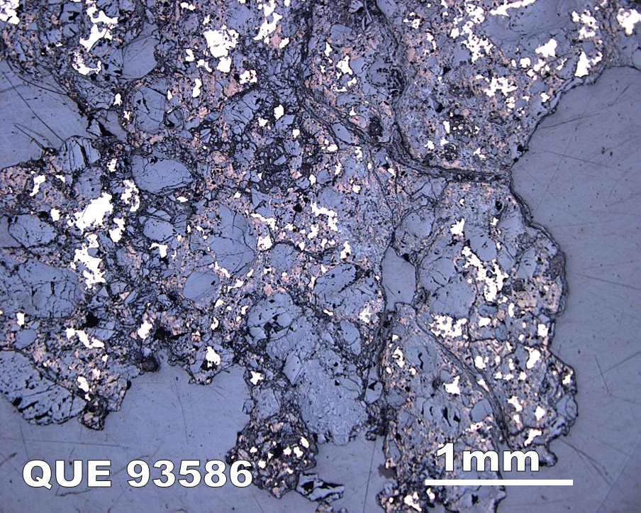 Thin Section Photograph of Sample QUE 93586 in Reflected Light