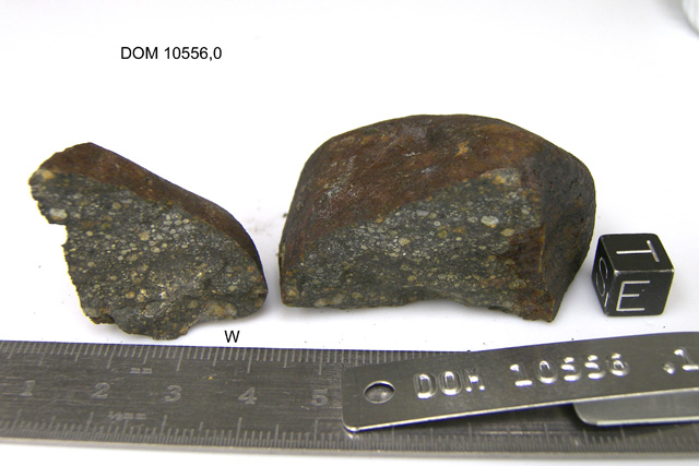Lab Photo of Sample DOM 10556 Showing 
