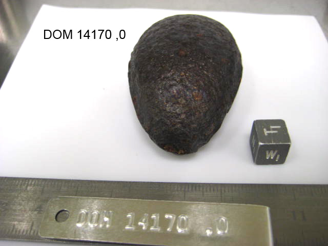 Lab Photo of Sample DOM 14170 Displaying West Orientation