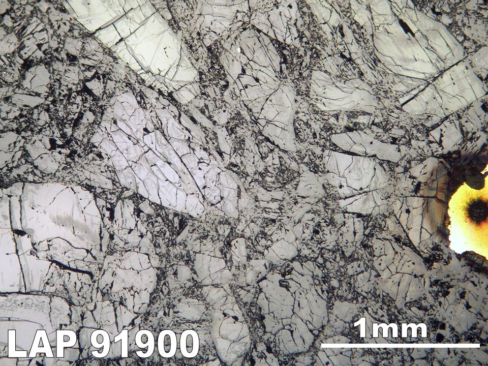 Thin Section Photograph of Sample LAP 91900 in Reflective Light
