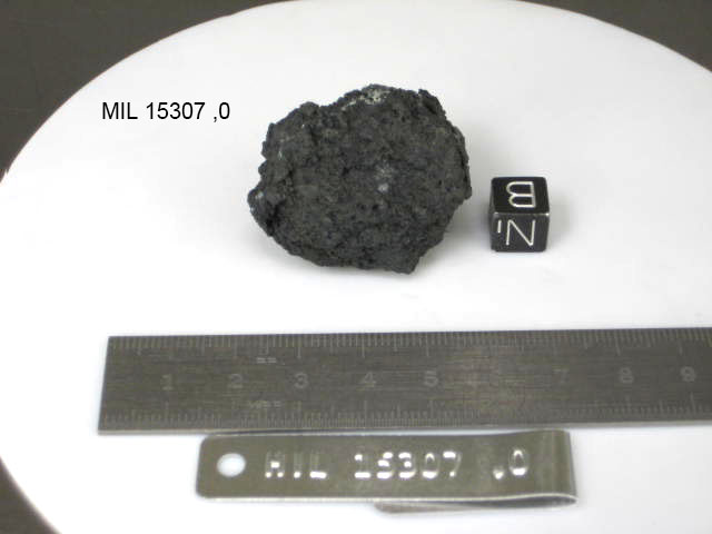 Lab Photo of Sample MIL 15307 Displaying Bottom Orientation