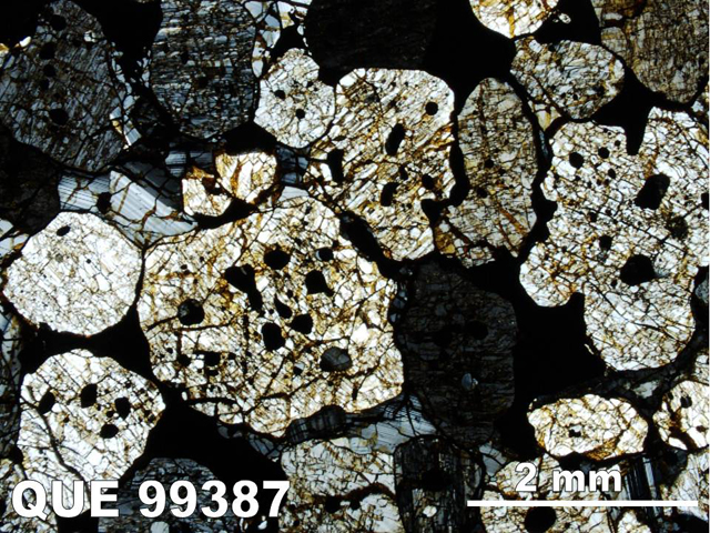Thin Section Photo of Sample QUE 99387 in Cross-Polarized Light with 1.25x Magnification
