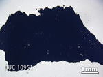 Thin Section Photograph of Sample BUC 10951 in Plane-Polarized Light