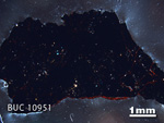 Thin Section Photograph of Sample BUC 10951 in Cross-Polarized Light