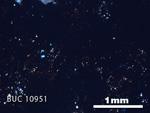 Thin Section Photograph of Sample BUC 10951 in Cross-Polarized Light
