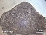 Thin Section Photo of Sample DOM 08009 at 1.25X Magnification in Reflected Light