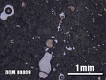 Thin Section Photo of Sample DOM 08009 at 2.5X Magnification in Plane-Polarized Light