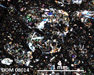 DOM 08014 Meteorite Thin Section Photo with 5x magnification in Cross-Polarized Light