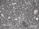 Thin Section Photo of Sample DOM 10101 in Reflected Light with 1.25X Magnification