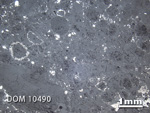 Thin Section Photo of Sample DOM 10490 in Reflected Light with 1.25x Magnification