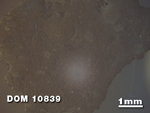 Thin Section Photo of Sample DOM 10839 at 1.25X Magnification in Reflected Light
