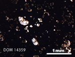 Thin Section Photo of Sample DOM 14359 in Plane-Polarized Light with 2.5X Magnification