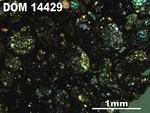 Thin Section Photo of Sample DOM 14429 in Cross-Polarized Light with 2.5X Magnification