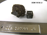 Lab Photo of Sample DOM 18130 Displaying East Orientation