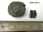 Lab Photo of Sample DOM 18166 Displaying South Orientation