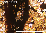Thin Section Photo of Sample DOM 18183,2 at 5x magnification in Plane Polarized Light