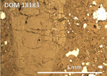 Thin Section Photo of Sample DOM 18183,2 at 5x magnification in Reflected Light