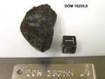 Lab Photo of Sample DOM 18255 Displaying East Orientation