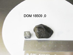 Lab Photo of Sample DOM 18509 Displaying Top South Orientation