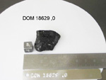 Lab Photo of Sample DOM 18629 Displaying Bottom South Orientation